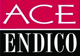 Ace Endico